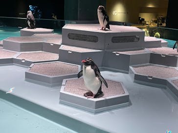 AOAO SAPPOROに投稿された画像（2023/8/19）