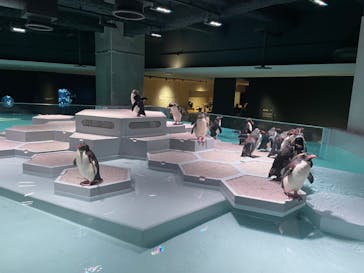 AOAO SAPPOROに投稿された画像（2023/8/19）