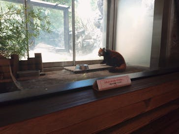 よこはま動物園ズーラシアに投稿された画像（2023/8/19）