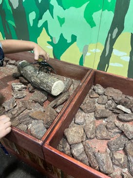 JOYPOLIS 特別イベントスペースに投稿された画像（2023/8/19）