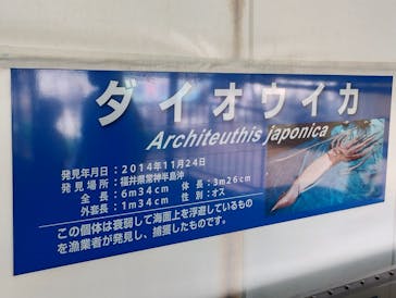越前松島水族館に投稿された画像（2023/8/19）
