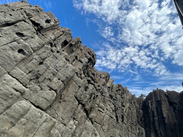 東尋坊観光遊覧船株式会社に投稿された画像（2023/8/19）