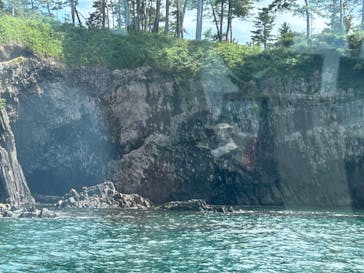 東尋坊観光遊覧船株式会社に投稿された画像（2023/8/19）