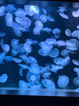 AOAO SAPPOROに投稿された画像（2023/8/19）