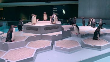 AOAO SAPPOROに投稿された画像（2023/8/19）