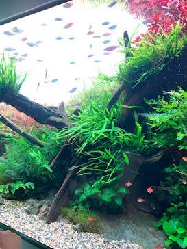 AOAO SAPPOROに投稿された画像（2023/8/19）