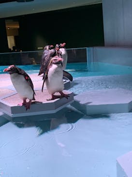 AOAO SAPPOROに投稿された画像（2023/8/19）