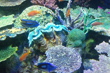 サンシャイン水族館に投稿された画像（2023/8/19）