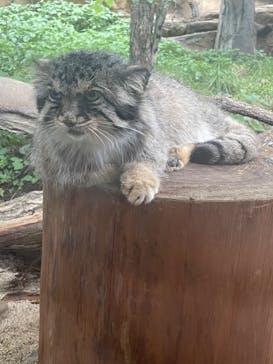 那須どうぶつ王国に投稿された画像（2023/8/19）