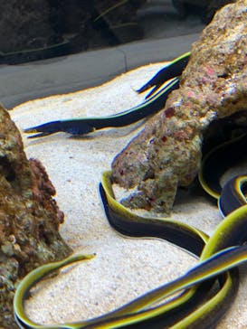 AOAO SAPPOROに投稿された画像（2023/8/19）