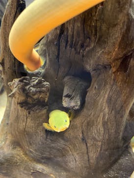 AOAO SAPPOROに投稿された画像（2023/8/19）