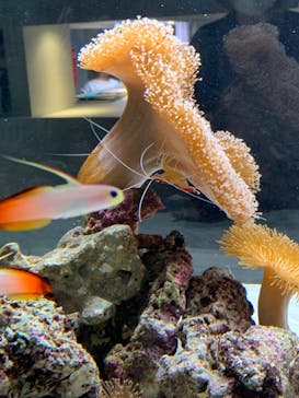 AOAO SAPPOROに投稿された画像（2023/8/19）