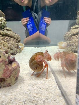 AOAO SAPPOROに投稿された画像（2023/8/19）