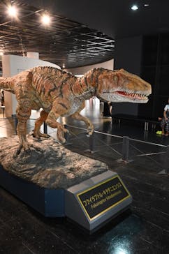 福井県立恐竜博物館に投稿された画像（2023/8/19）