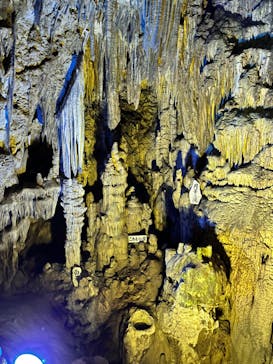 あぶくま洞に投稿された画像（2023/8/19）