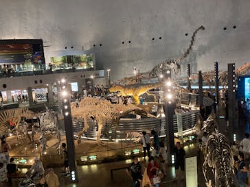 福井県立恐竜博物館に投稿された画像（2023/8/19）