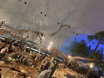 福井県立恐竜博物館に投稿された画像（2023/8/19）
