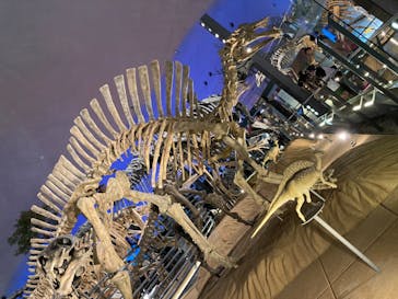 福井県立恐竜博物館に投稿された画像（2023/8/19）