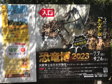 大阪市立自然史博物館に投稿された画像（2023/8/19）