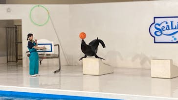 登別マリンパークニクスに投稿された画像（2023/8/19）