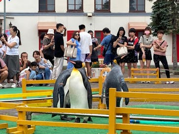 登別マリンパークニクスに投稿された画像（2023/8/19）