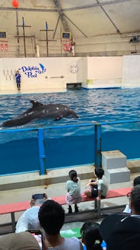 登別マリンパークニクスに投稿された画像（2023/8/19）