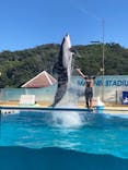 下田海中水族館に投稿された画像（2023/8/19）