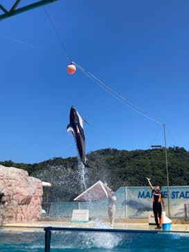 下田海中水族館に投稿された画像（2023/8/19）