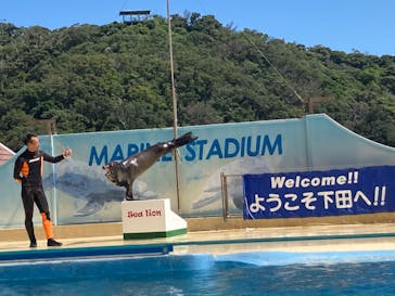 下田海中水族館に投稿された画像（2023/8/19）