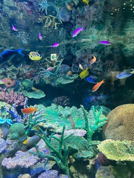 サンシャイン水族館に投稿された画像（2023/8/19）