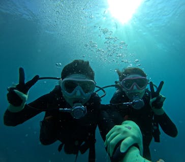 DIVING-SHOP SUNSに投稿された画像（2023/8/19）