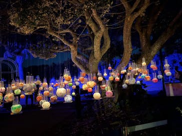 江の島シーキャンドルに投稿された画像（2023/8/19）