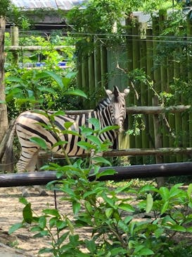 到津の森公園に投稿された画像（2023/8/19）