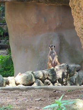 到津の森公園に投稿された画像（2023/8/19）