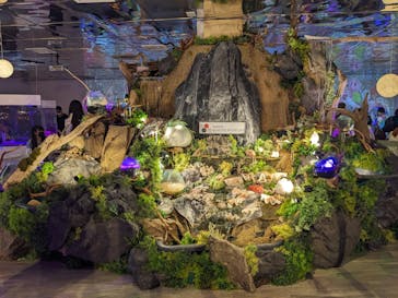 NARA KINGYO MUSEUMに投稿された画像（2023/8/19）