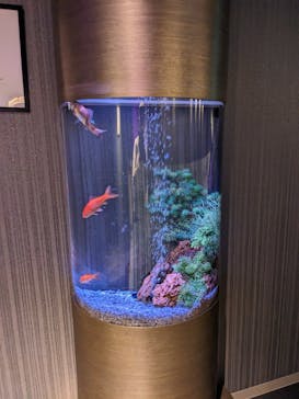 NARA KINGYO MUSEUMに投稿された画像（2023/8/19）