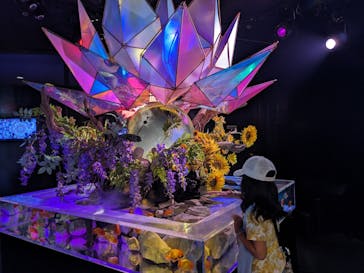 NARA KINGYO MUSEUMに投稿された画像（2023/8/19）