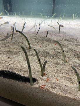 AOAO SAPPOROに投稿された画像（2023/8/19）