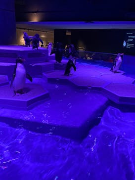 AOAO SAPPOROに投稿された画像（2023/8/19）