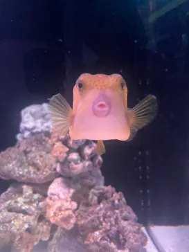 マクセル アクアパーク品川に投稿された画像（2023/8/19）