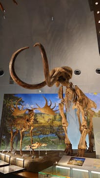 福井県立恐竜博物館に投稿された画像（2023/8/19）