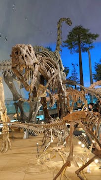 福井県立恐竜博物館に投稿された画像（2023/8/19）