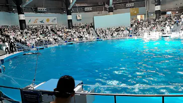 マクセル アクアパーク品川に投稿された画像（2023/8/19）