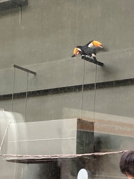 カワスイ 川崎⽔族館に投稿された画像（2023/8/19）