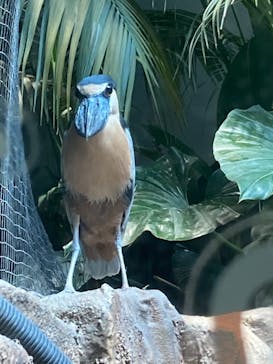 カワスイ 川崎⽔族館に投稿された画像（2023/8/19）