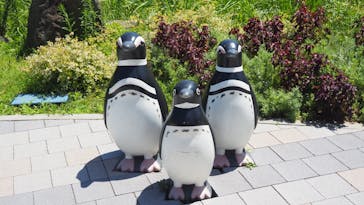 しながわ水族館に投稿された画像（2023/8/19）