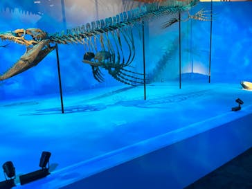 DinoScience 恐竜科学博 2023@TOKYO MIDTOWNに投稿された画像（2023/8/19）