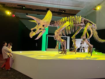 DinoScience 恐竜科学博 2023@TOKYO MIDTOWNに投稿された画像（2023/8/19）