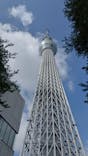 東京スカイツリーに投稿された画像（2023/8/19）