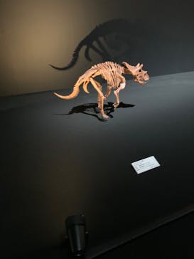 DinoScience 恐竜科学博 2023@TOKYO MIDTOWNに投稿された画像（2023/8/19）